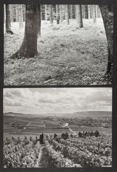 RENÉ-JACQUES (1908-2003, René GITON - known...