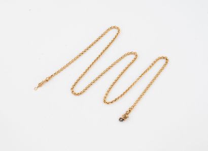 Yellow gold (750) chain with counted ecus...