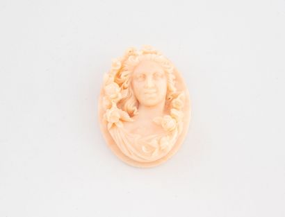 Cameo medallion on white bathed coral root,...