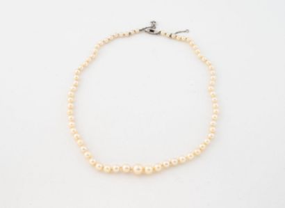 Collier de perles de cultures blanches, certaines...