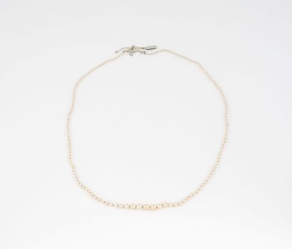 Collier de perles probablement fines et de...