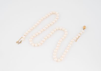 Collier en perles de culture blanche en choker.
Fermoir...