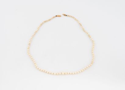 Necklace of white cultured pearls. 
Ratchet...
