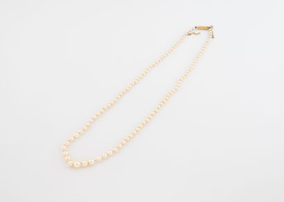 Necklace with one strand of cultured pearls....