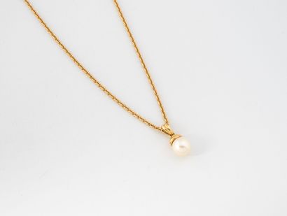 Yellow gold (750) necklace featuring a forçat...