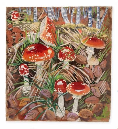 YVONNE JEAN HAFFEN (1895-1993)
Amanites et...
