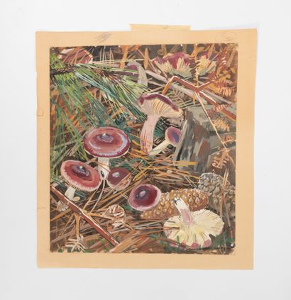 YVONNE JEAN HAFFEN (1895-1993)
Amanites et...