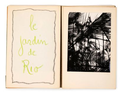 LUCIEN CLERGUE (1934-2014)
Le jardin de Rio,...