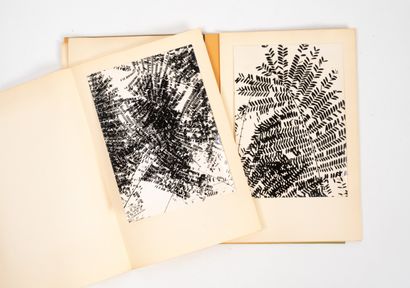 LUCIEN CLERGUE (1934-2014)
Le jardin de Rio,...