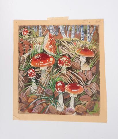 YVONNE JEAN HAFFEN (1895-1993)
Amanites et...