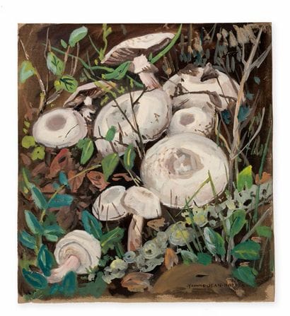 YVONNE JEAN HAFFEN (1895-1993)
Cèpes, bolets...