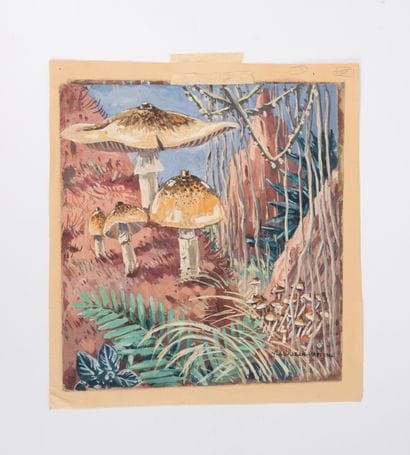 YVONNE JEAN HAFFEN (1895-1993)
Amanites et...