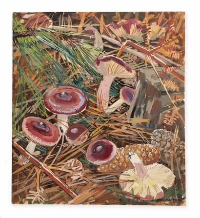 YVONNE JEAN HAFFEN (1895-1993)
Amanites et...