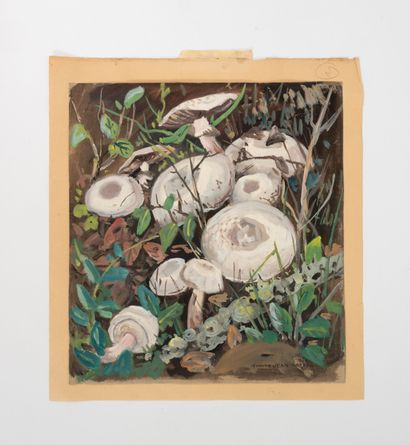 YVONNE JEAN HAFFEN (1895-1993)
Cèpes, bolets...