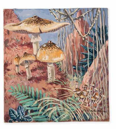 YVONNE JEAN HAFFEN (1895-1993)
Amanites et...