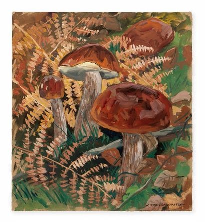 YVONNE JEAN HAFFEN (1895-1993)
Cèpes, bolets...