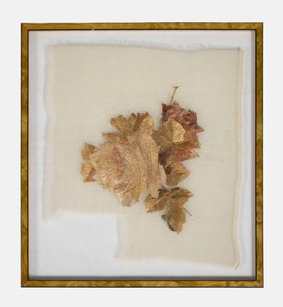 Honorine FILLATREAU (1877-?)
Four cut-out...