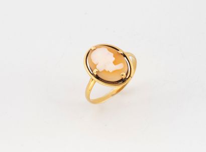Yellow gold (750) ring set with a shell cameo...