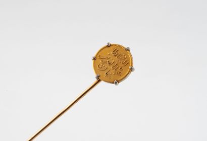 Yellow gold (750) and platinum (950) pin...