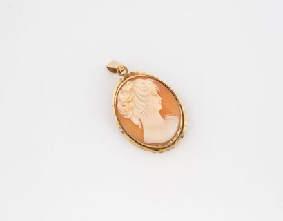 Yellow gold (750) pendant brooch set with...