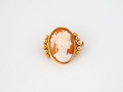 Yellow gold (750) brooch centered on a ladylike...