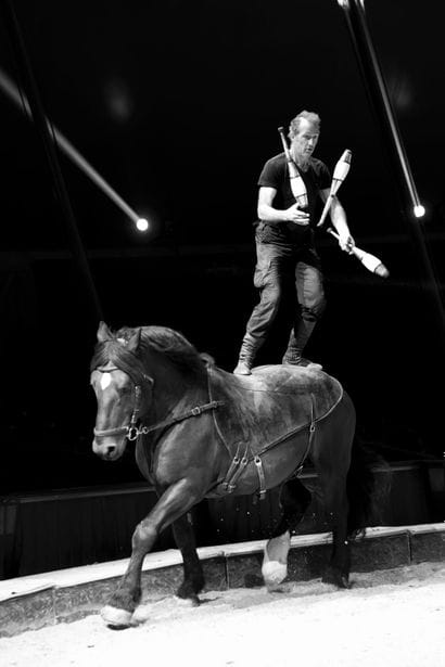 Aux Folies Grüss, entrez dans l’univers des...