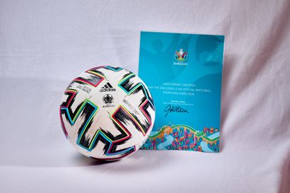 Official used ball - Spain vs Poland group...
