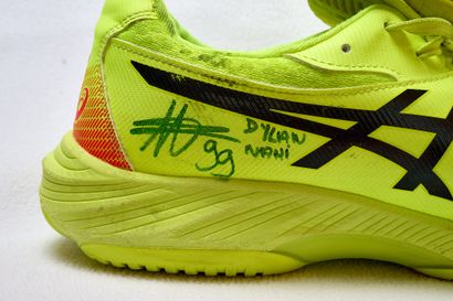 Pair of shoes worn and signed by Dylan Nahi...