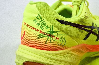 Pair of shoes worn and signed by Dylan Nahi...