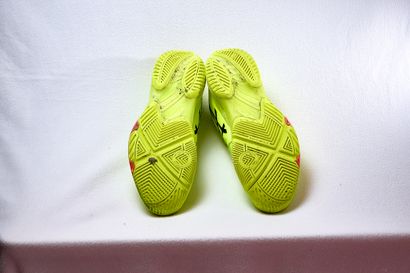 Pair of shoes worn and signed by Dylan Nahi...