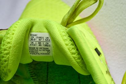 Pair of shoes worn and signed by Dylan Nahi...
