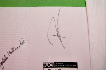 UCI Road World Champion 2025 jersey under...