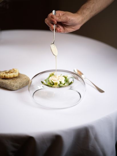 Gastronomic dinner at the ZOSTERA restaurant...