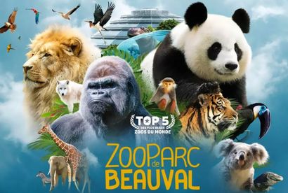 Beauval Zoo: Stay for 2 adults and 2 children...