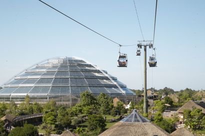Beauval Zoo: Stay for 2 adults and 2 children...