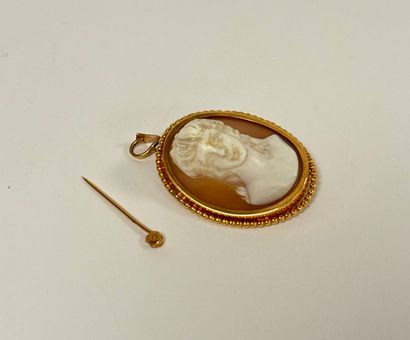 Yellow gold (750) brooch pendant set with...