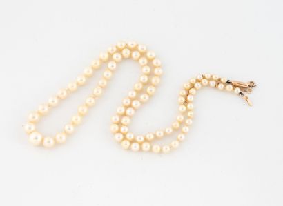 Necklace of tumbling white cultured pearls.
Yellow...