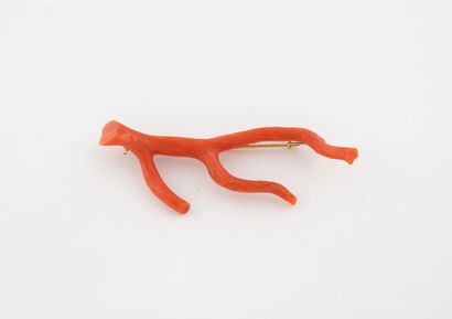 Brooch with red coral branch and yellow gold...