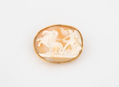 Yellow gold (750) oval brooch centered with...