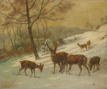 Georges Frédéric RÖTIG (1863-1961)
Cerf et...