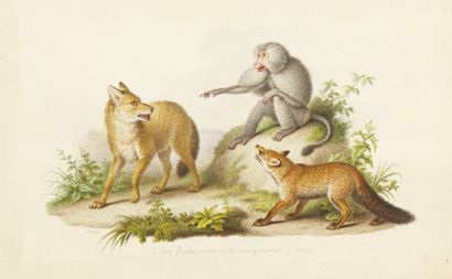 Nicolas II HUET (1770-1828)
“Le loup plaidant...