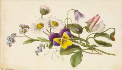 Pancrace BESSA (1772-1835)
Pensée, paquerettes...