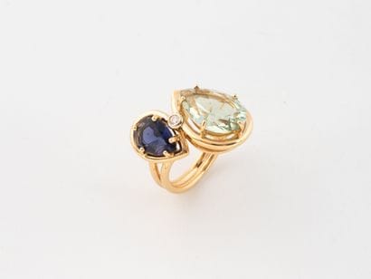 MANGIAROTTI pour Da Vinci
Bague en or jaune...