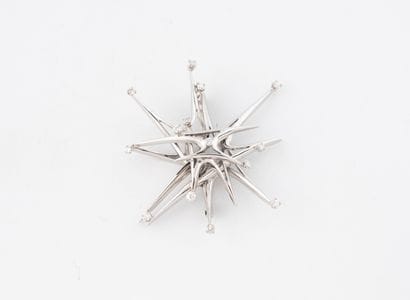 Broche en or gris (750) et platine à décor...
