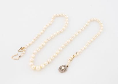 Collier de perles de cultures blanches en...