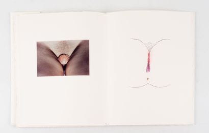GETTE (Paul-Armand).
The Concealment of Origin....