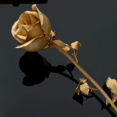 Rose en or jaune. Travail étranger. Poids:...