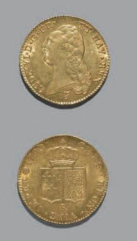 Louis XVI (1774-1793) Double Louis d'or au...