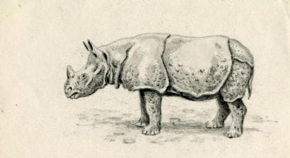 OBERTHÜR (Joseph)
Rhinocéros unicorne de...