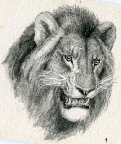 OBERTHÜR (Joseph)
Tête de lion. Lavis original;...
